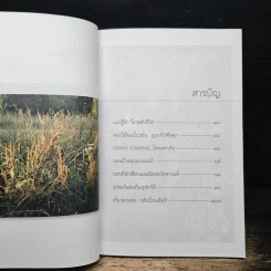 ปรายลมร้อนที่นิวซีแลนด์ รูปที่ 7