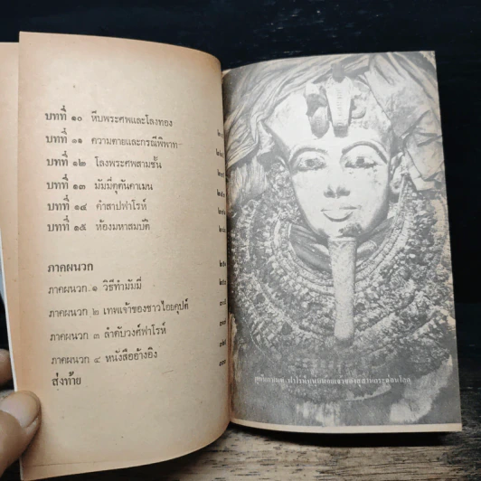 เปิดสุสานตุตันคาเมน รูปที่ 7