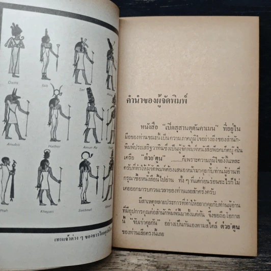 เปิดสุสานตุตันคาเมน รูปที่ 8