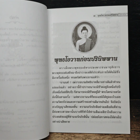 พุทธโอวาทก่อนปรินิพพาน รูปที่ 7