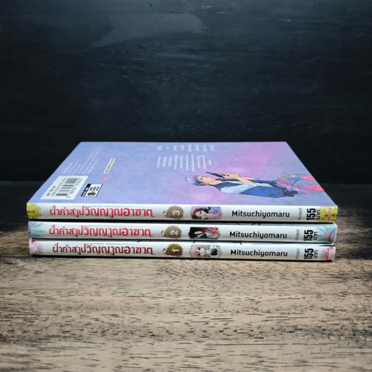 ฝ่าคำสาปวิญญาณอาฆาต เล่ม 1-3 รูปที่ 3