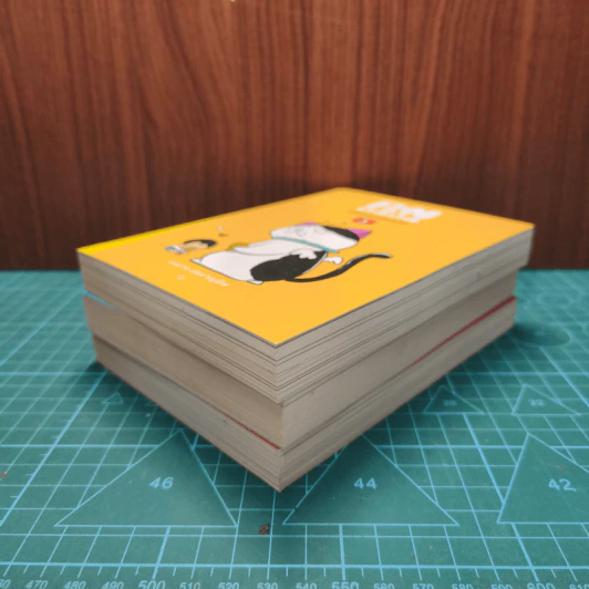 เทพเจ้าแมว Pandada เล่ม 1-3 - องอาจ ชัยชาญชีพ รูปที่ 3