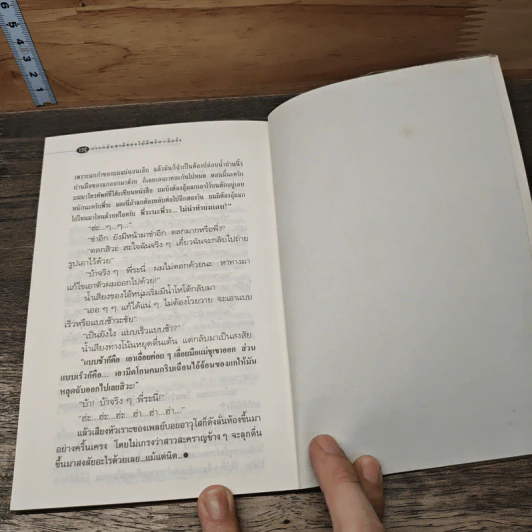 การกลับชาติของไม้ตีพริก - อีแร้ง รูปที่ 9