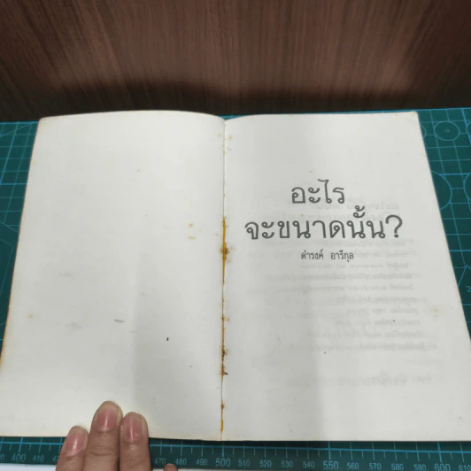 อะไรจะขนาดนั้น - ดำรงค์ อารีกุล รูปที่ 6