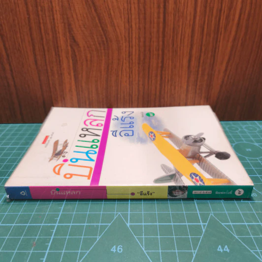 บินแหลก - อีแร้ง รูปที่ 2