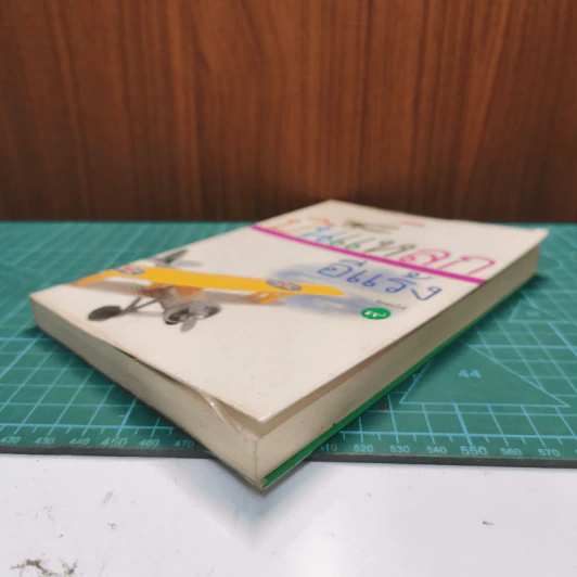 บินแหลก - อีแร้ง รูปที่ 3