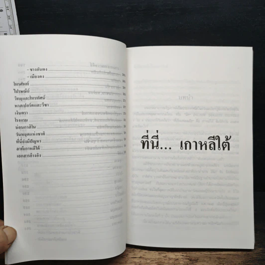 ที่นี่...เกาหลีใต้ - สมปราชญ์ อัมมะพันธุ์ รูปที่ 9