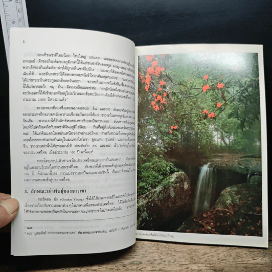ชาวเขา - ขจัดภัย บุรุษพัฒน์ รูปที่ 8