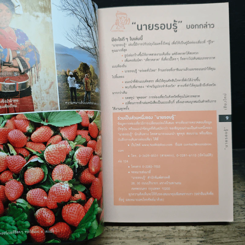 นายรอบรู้ เชียงใหม่ รูปที่ 6