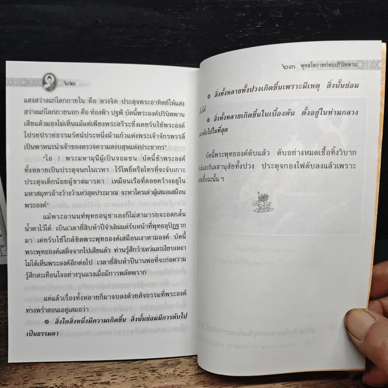 พุทธโอวาทก่อนปรินิพพาน รูปที่ 8