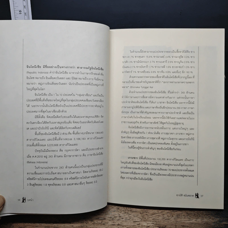 หนังสือ ประวัติศาสตร์อินโดนีเซีย: เอกภาพแห่งความแตกต่าง - อาณัติ อนันตภาค รูปที่ 8