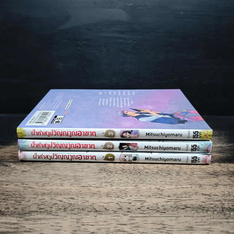 ฝ่าคำสาปวิญญาณอาฆาต เล่ม 1-3 รูปที่ 3