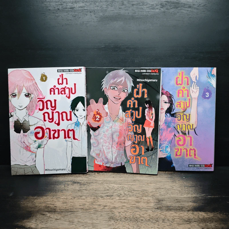 ฝ่าคำสาปวิญญาณอาฆาต เล่ม 1-3 รูปที่ 1