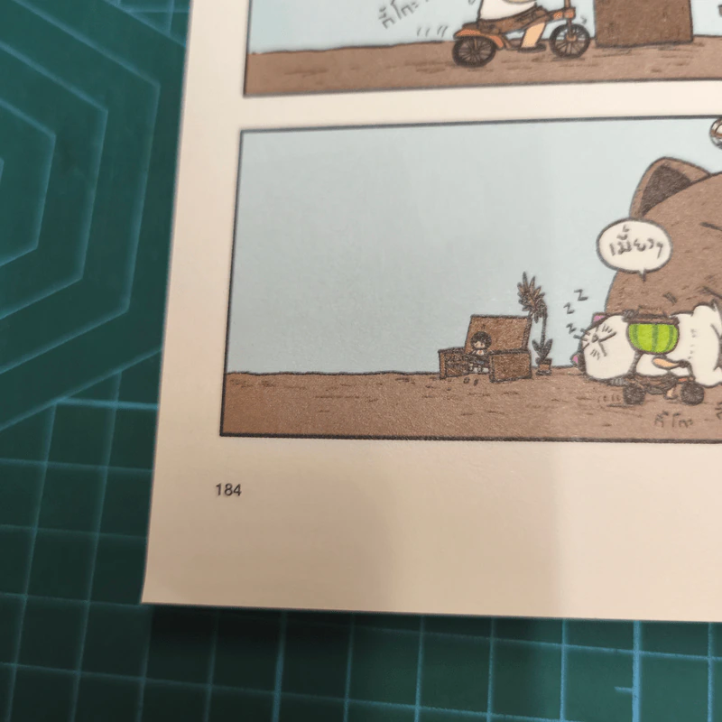 เทพเจ้าแมว Pandada เล่ม 1-3 - องอาจ ชัยชาญชีพ รูปที่ 10