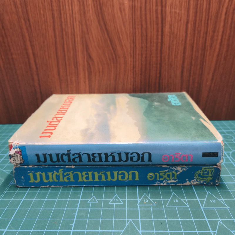 มนต์สายหมอก 2 เล่มจบ รูปที่ 2