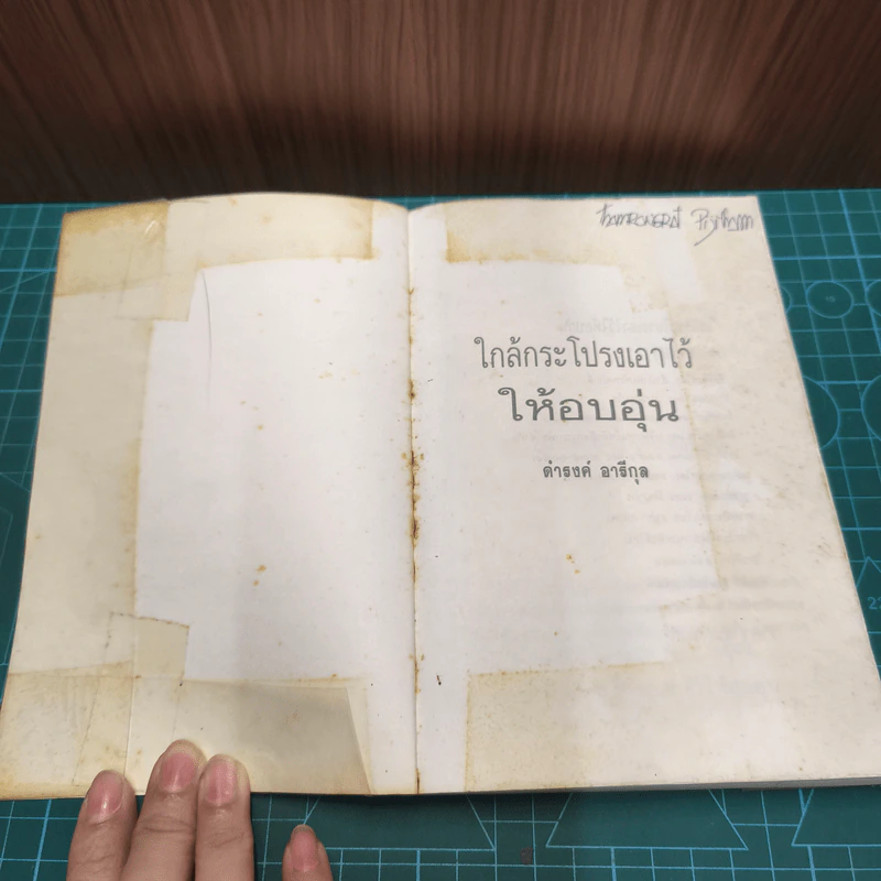 ใกล้กระโปรงเอาไว้ให้อบอุ่น - ดำรงค์ อารีกุล รูปที่ 6