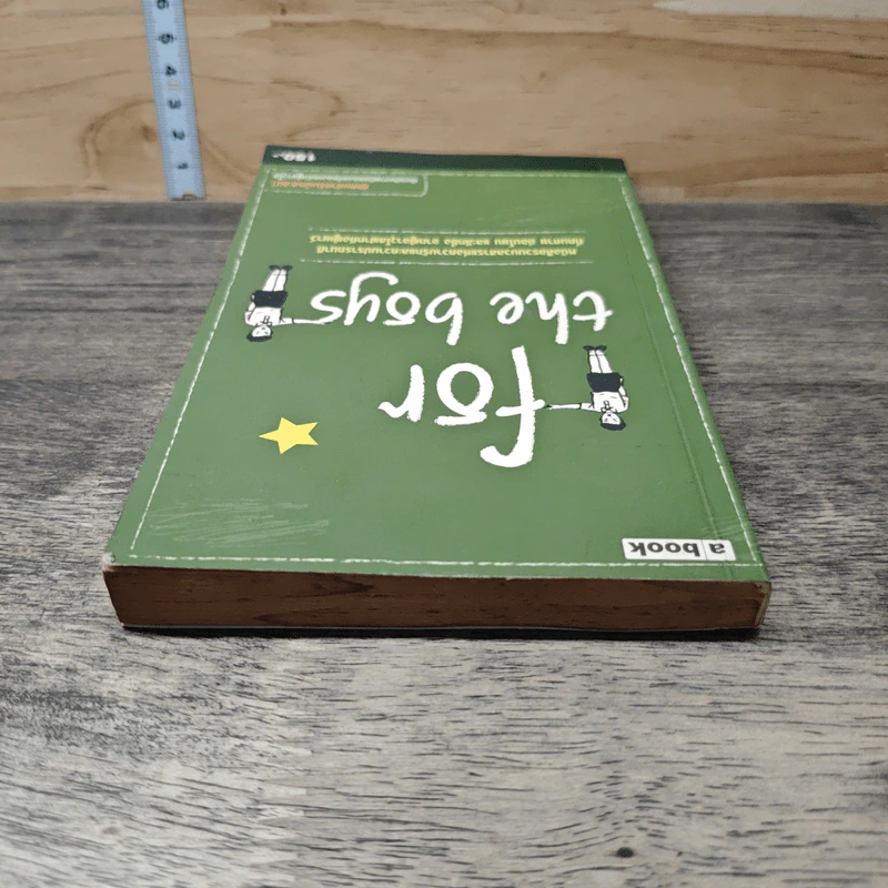 For the Boys หนังสือรวมมวลสารแห่งความรักและความปรารถนาดี รูปที่ 4