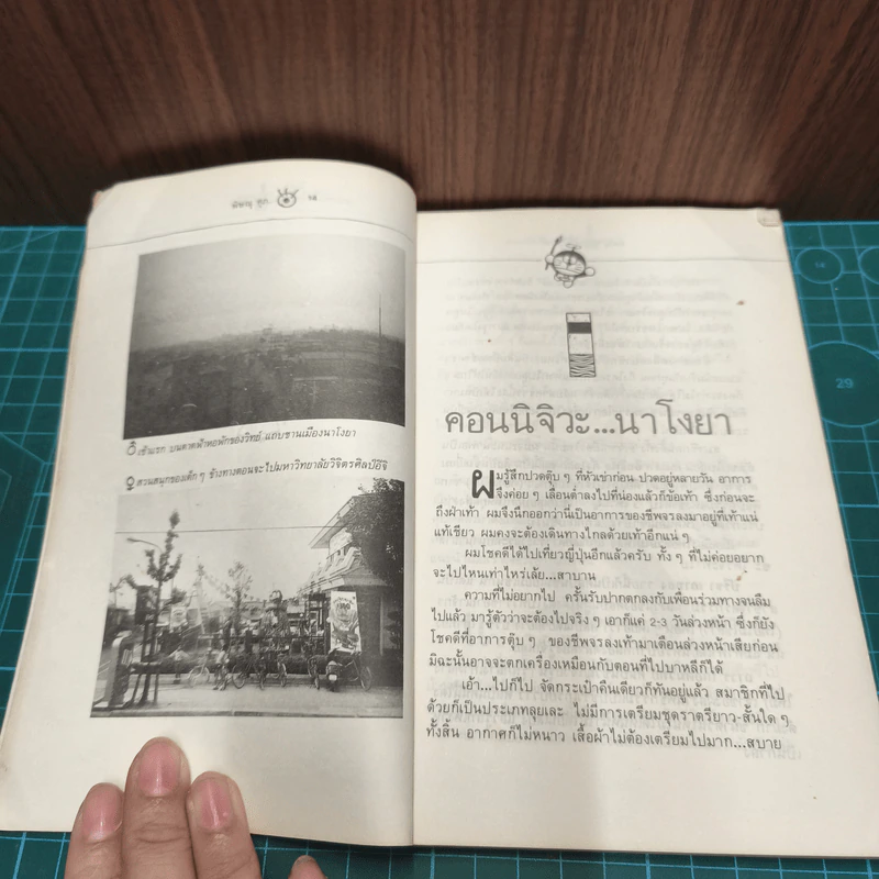 ตามกลิ่นสีไปญี่ปุ่น - พิษณุ ศุภ รูปที่ 9