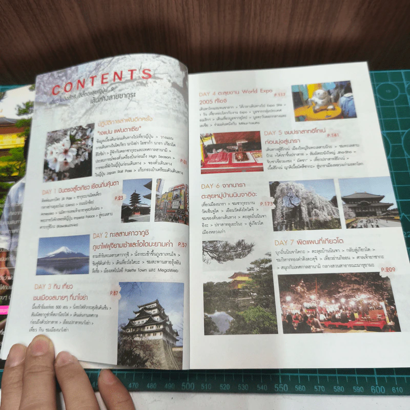 เที่ยวไม่ง้อทัวร์ตีตั๋วตะลุยญี่ปุ่น 2 รูปที่ 7