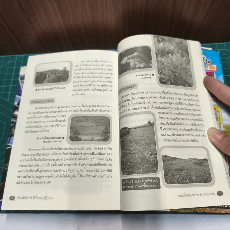เที่ยวไม่ง้อทัวร์ ตีตั๋วตะลุยญี่ปุ่น 3 - พงศกร ประทุมวงษ์ รูปที่ 8