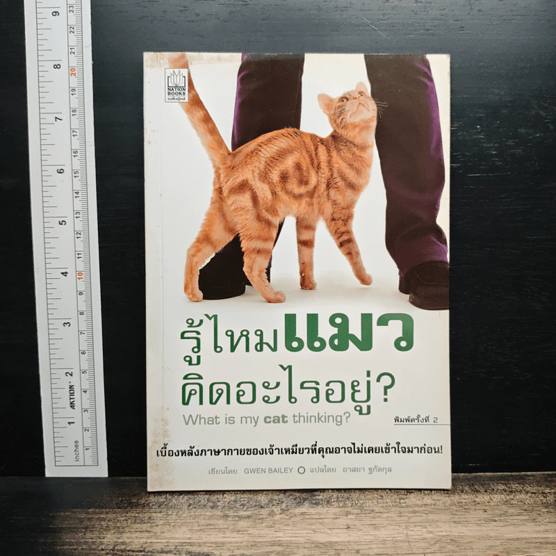 รู้ไหมแมวคิดอะไรอยู่? - Gwen Bailey รูปที่ 1