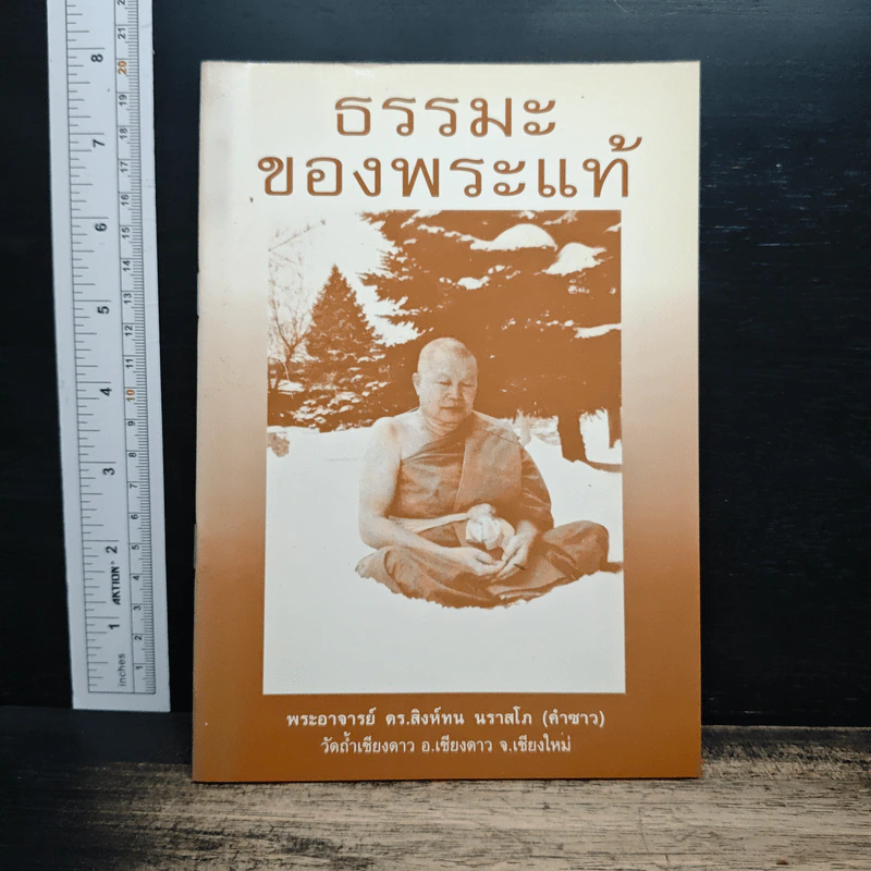 ธรรมะของพระแท้ - พระอาจารย์ ดร.สิงห์ทน นราสโภ (คำซาว) รูปที่ 1