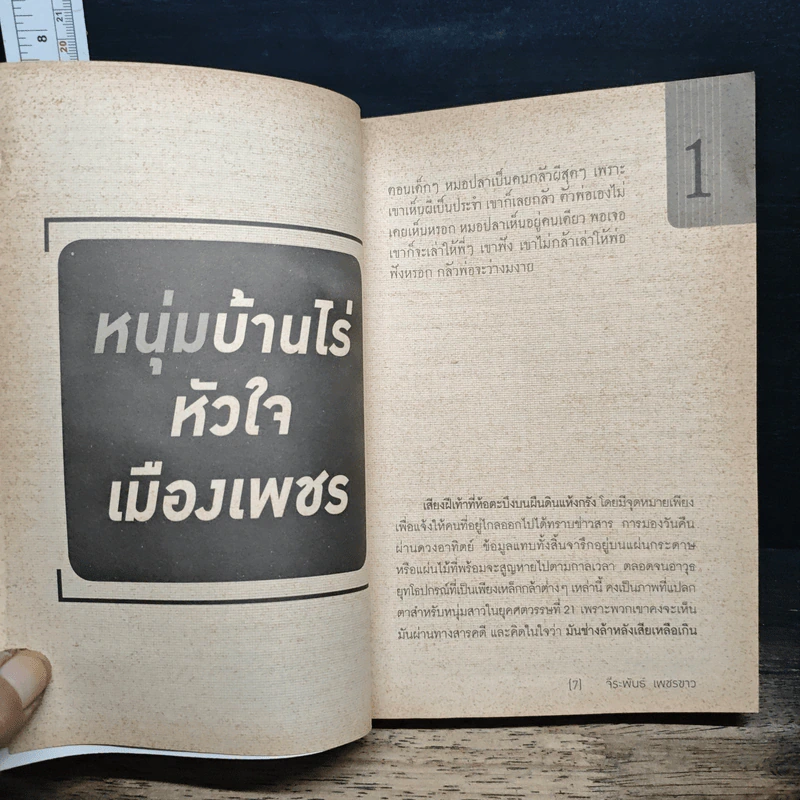 หมอปลา มือปราบกรรม สัมภเวสี ผี วิญญาณ - จีระพันธ์ เพชรขาว รูปที่ 8