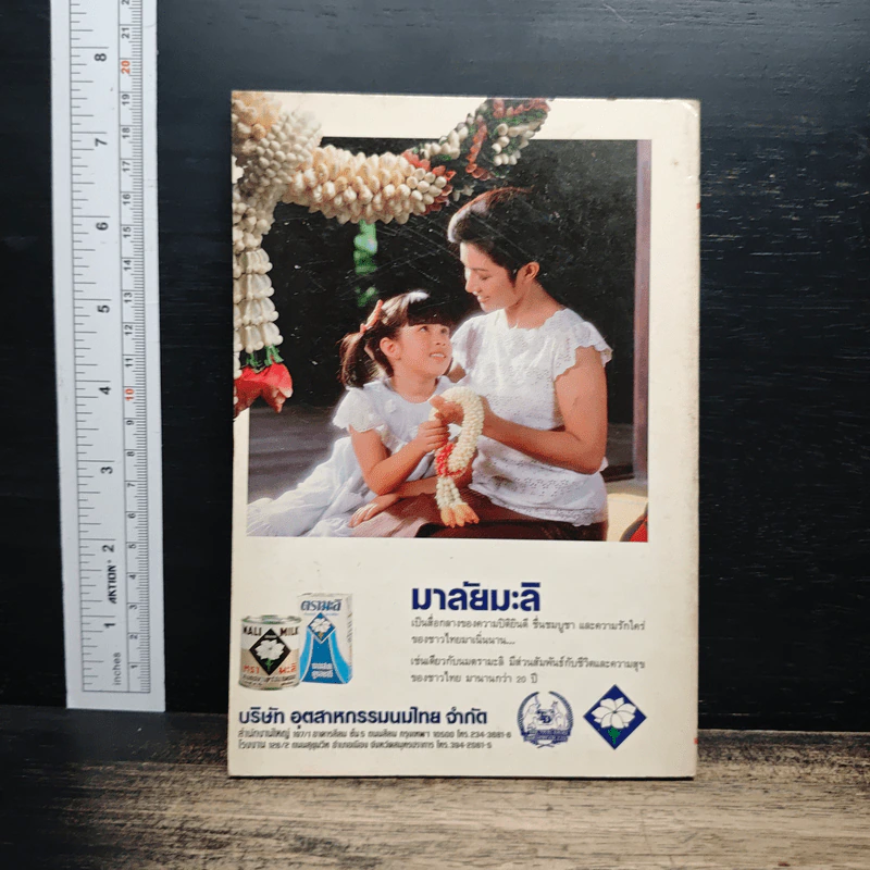 เที่ยวเมืองไทยในเทศกาล รูปที่ 2