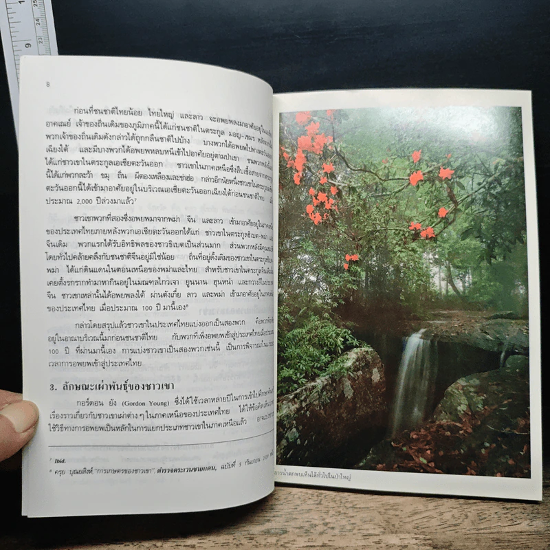 ชาวเขา - ขจัดภัย บุรุษพัฒน์ รูปที่ 8