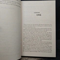 The Wife Between Us - Greer Hendricks, Sarah Pekkanen รูปที่ 7