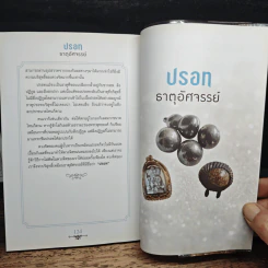 ปรอท ธาตุอัศจรรย์ - เวชยันต์ รูปที่ 9