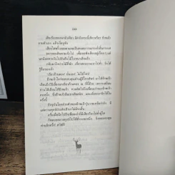 ป่าในบ้าน(3) - ทองทิว สุวรรณทัต รูปที่ 8