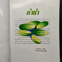 อาหารจานเดียว รูปที่ 6