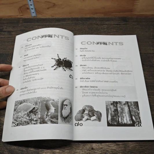 จากกำเนิดสรรพชีวิตถึงกาลาปาโกสและชาร์ลซ ดาร์วิน รูปที่ 7