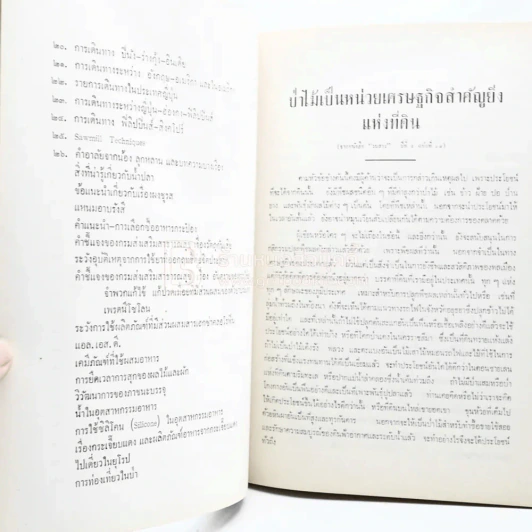 อนุสรณ์ พระยาอนุวัฒน์วนรักษ์ รูปที่ 6