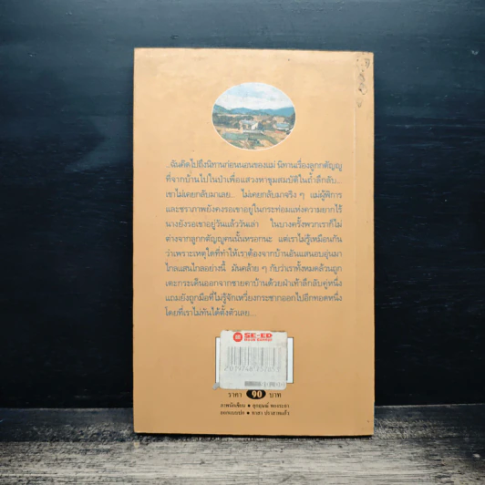 ถนนนี้...กลับบ้าน - ไพรฑูรย์ ธัญญา รูปที่ 2