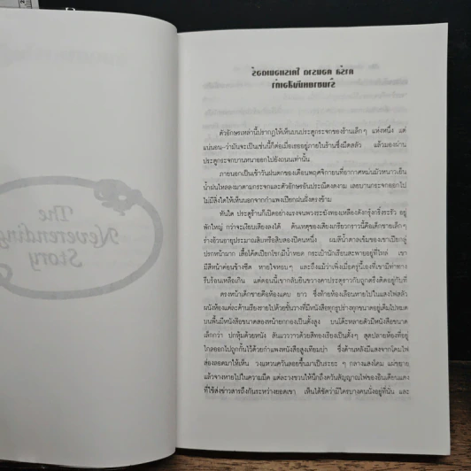 จินตนาการไม่รู้จบ The Neverending Story - มิชาเอ็ล เอ็นเด้ รูปที่ 7