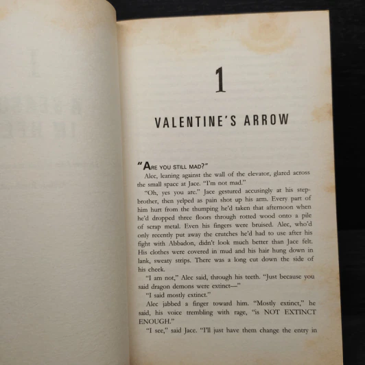 City of Ashes - Cassandra Clare รูปที่ 6