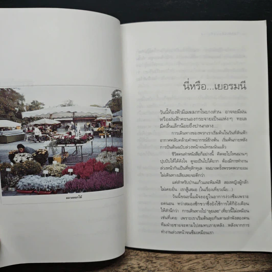 ใบไม้เปลี่ยนสีที่ยุโรป - พิมพ์สี รูปที่ 8