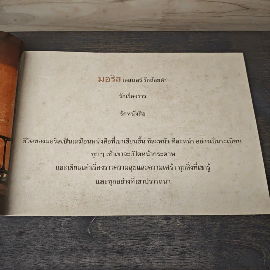 มหัศจรรย์หนังสือบินของนายมอริส เลสมอร์ - William Joyce (วิลเลียม จอยซ์) รูปที่ 7