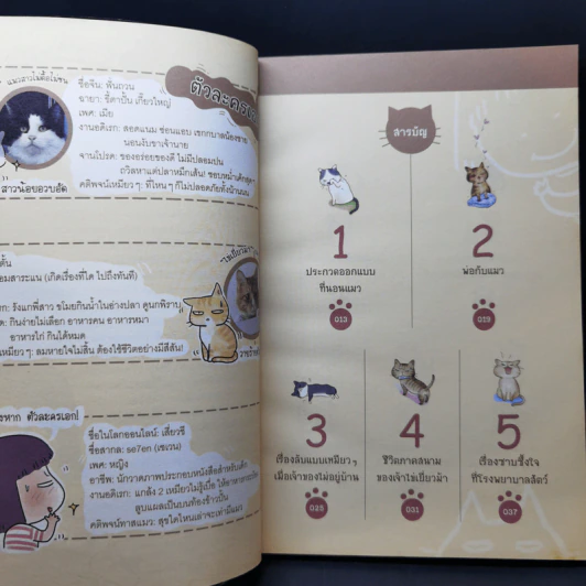 Cat Story เหมียวสุดฮาของเสี่ยวชี รูปที่ 10