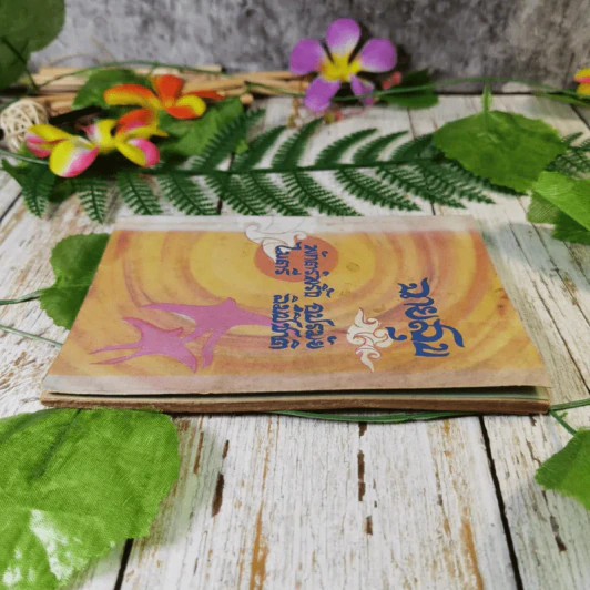 ฉายสุข 16 พฤษภาคม 2513 - พักตร์พริ้ง อุปรมัย, ไมตรี ลิมปิชาติ รูปที่ 5