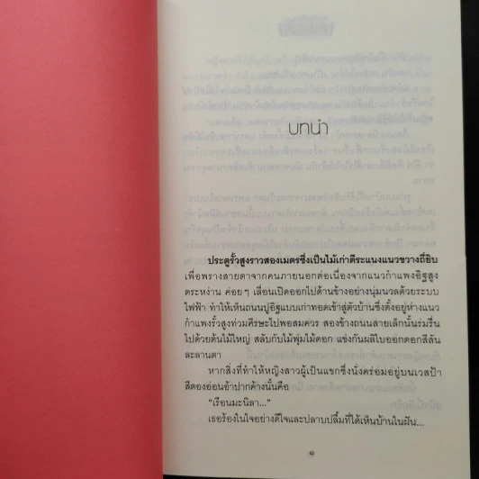 พะนอขวัญ - ฬีฬา รูปที่ 6