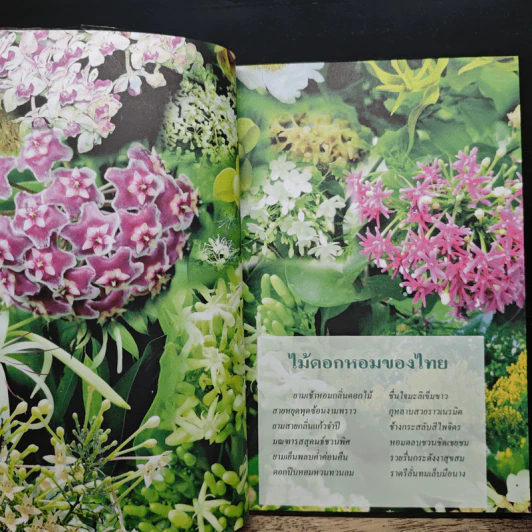 สารานุกรมไทยสำหรับเยาวชน ฉบับเสริมการเรียนรู้ เล่ม 1 รูปที่ 8