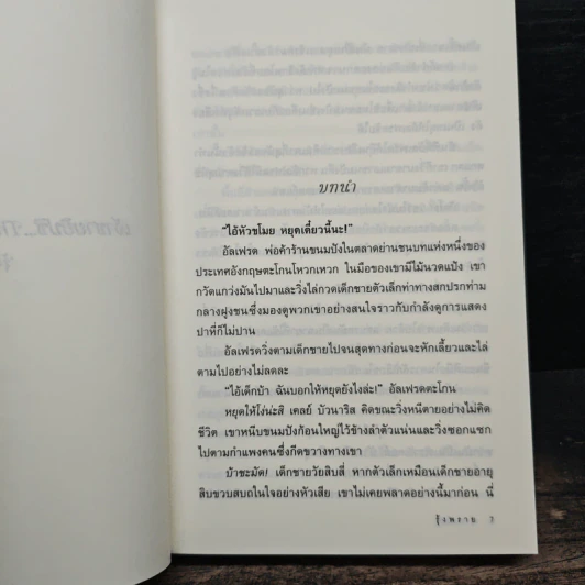 เจ้าชายยิปซี - รุ้งพราย รูปที่ 7
