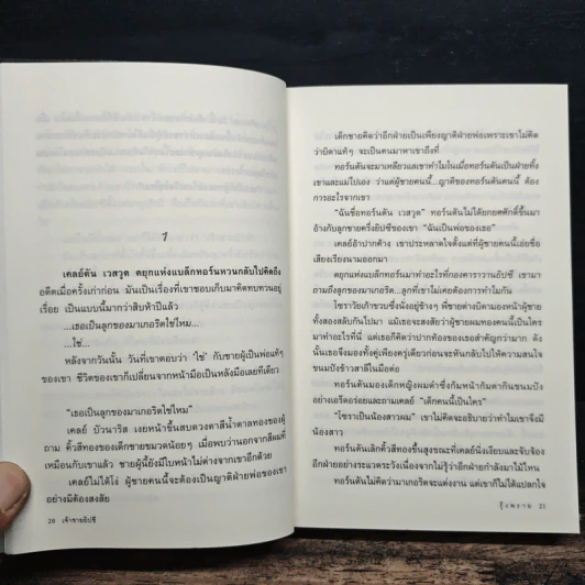 เจ้าชายยิปซี - รุ้งพราย รูปที่ 8