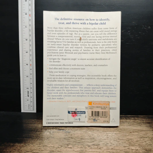 Positive Parenting for Bipolar Kids - Mary Ann McDonnell รูปที่ 2