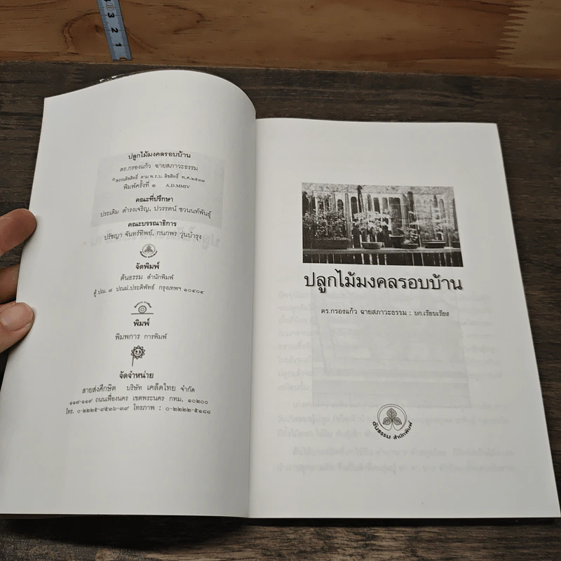 ปลูกไม้มงคลรอบบ้าน - ดร.กรองแก้ว ฉายสภาวะธรรม รูปที่ 6