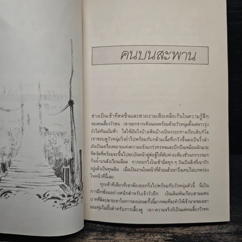 ก่อกองทราย - ไพฑูรย์ ธัญญา รูปที่ 8