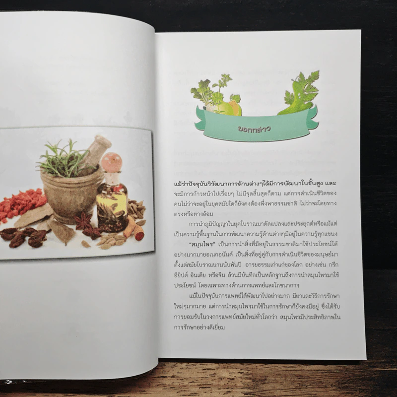 พืช ผัก สมุนไพร เป็นยา - ภัทจีรา ศุภวิชชา รูปที่ 7